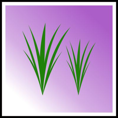 Okrasné trávy - ikonka